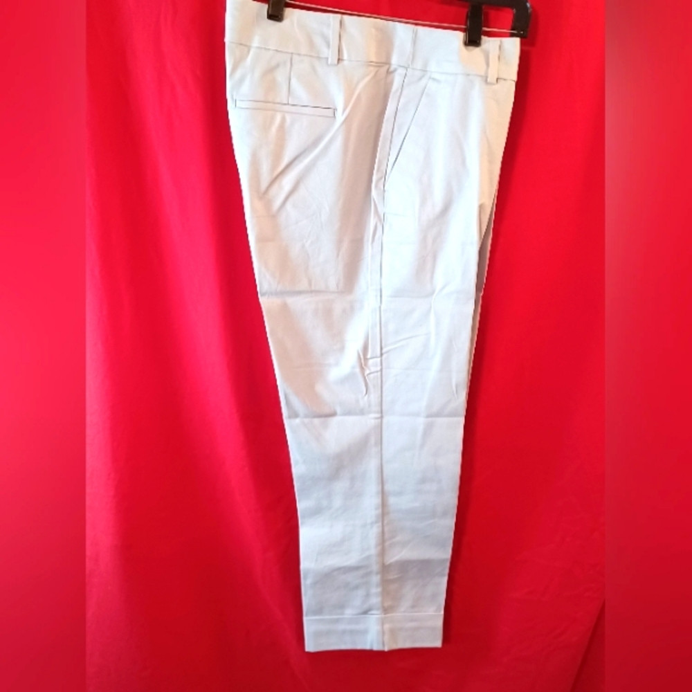 Business powder blue Capri pants